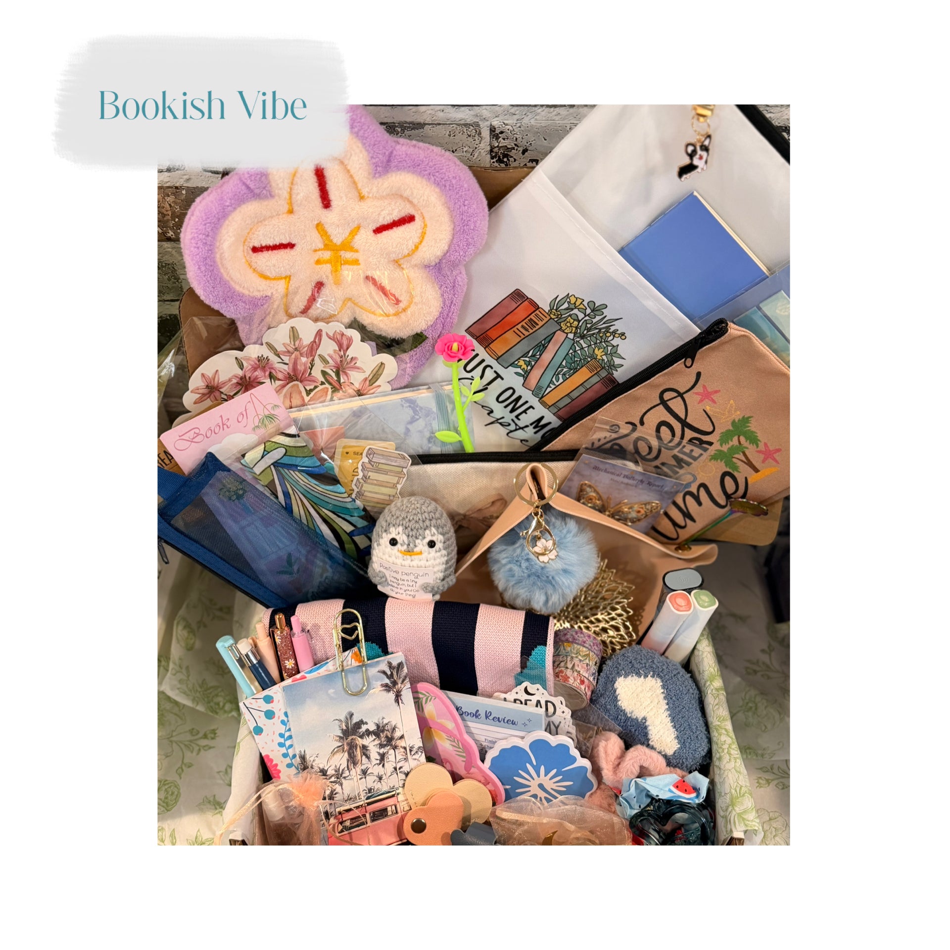 Bookish Vibe Scoop - Mystery Box